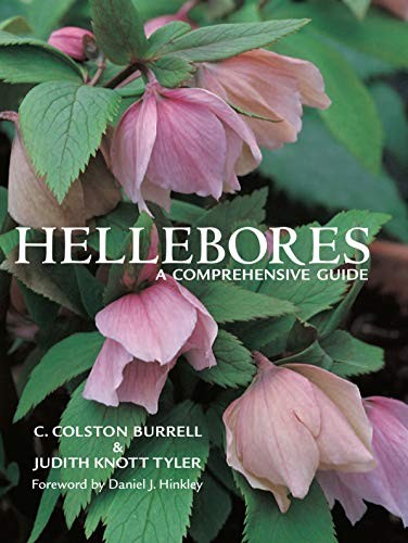Hellebores comprehensive - a,